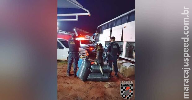 Polícia apreende R$ 183 mil em carga contrabandeada em bagageiro de ônibus em Brasilândia Polícia apreende R$ 183 mil em carga contrabandeada em bagageiro de ônibus em Brasilândia