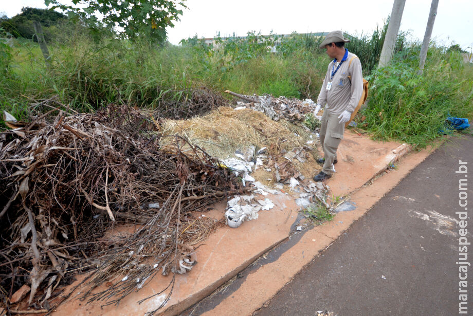 Recorde: Dengue matou 42 pessoas em Mato Grosso do Sul no ano de 2023; número pode chegar a 44