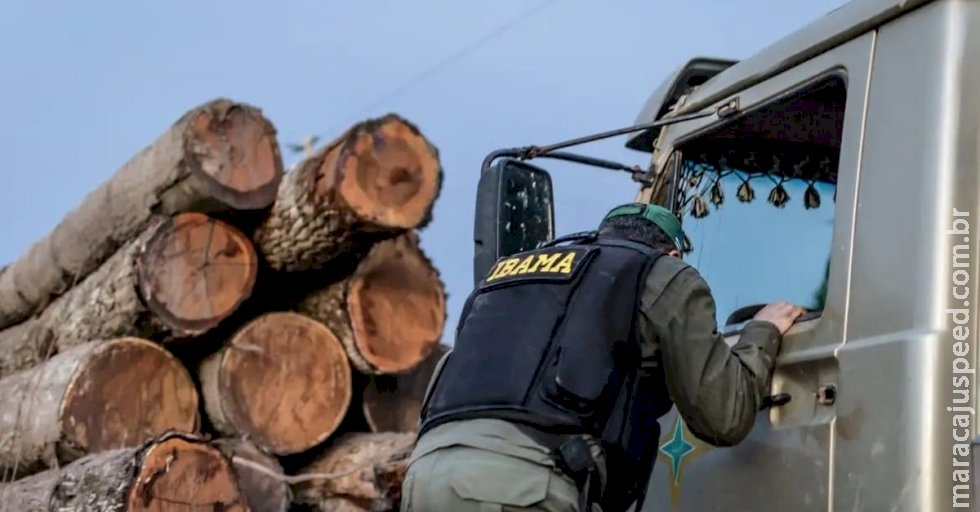 Servidores do Ibama prometem suspender fiscalização ambiental