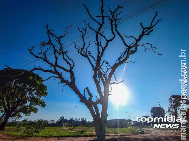 Terça-feira será de temperaturas altas e chuvas pontuais em Mato Grosso do Sul
