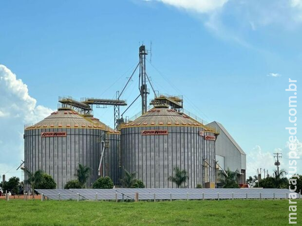 Trabalhador morre ao cair dentro de silo de grãos em Nova Andradina Trabalhador morre ao cair dentro de silo de grãos em Nova Andradina