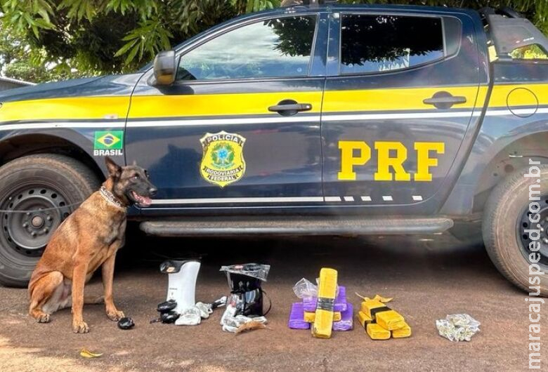 Ação conjunta da PRF e Correios resulta na apreensão de maconha e haxixe nas encomendas Ação conjunta da PRF e Correios resulta na apreensão de maconha e haxixe nas encomendas