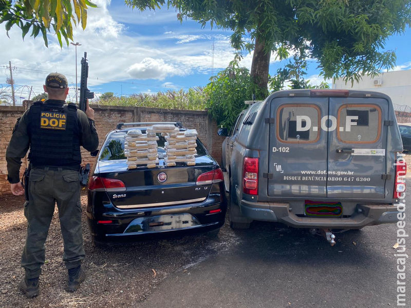 Casal que seguia com maconha para Brasília é preso pelo DOF em Maracaju Casal que seguia com maconha para Brasília é preso pelo DOF em Maracaju