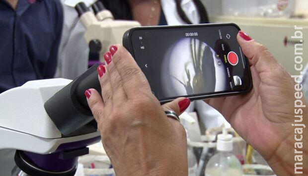 Casos de Leishmaniose crescem em Três Lagoas; uma pessoa foi infectada Casos de Leishmaniose crescem em Três Lagoas; uma pessoa foi infectada