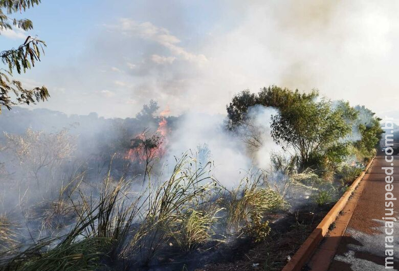 Corpo de Bombeiros combate incêndio criminoso na periferia de Dourados