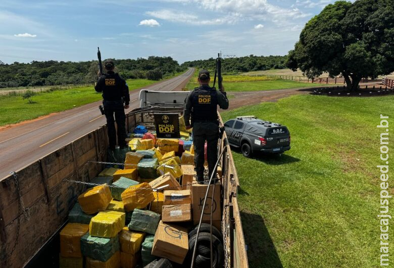 DOF apreende 8 toneladas de maconha em carreta; motorista é preso
