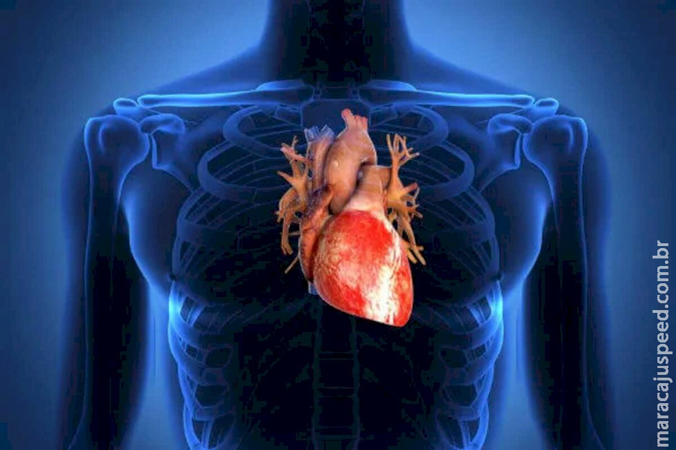 Médica alerta para sinais de cardiopatia em crianças e adolescentes