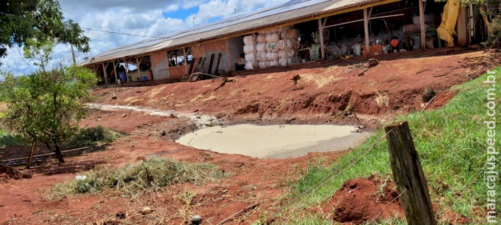 Operação conjunta da IAGRO e PMA desmantela recicladora clandestina de embalagens de agrotóxico em Caarapó Operação conjunta da IAGRO e PMA desmantela recicladora clandestina de embalagens de agrotóxico em Caarapó