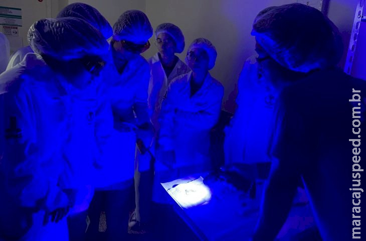 Parceria entre Polícia Científica de MS e UFMS impulsiona pesquisa em química forense Parceria entre Polícia Científica de MS e UFMS impulsiona pesquisa em química forense
