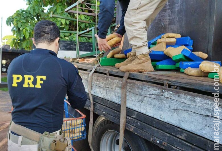 Polícia apreende quase 1t de maconha durante abordagem a caminhão em posto Polícia apreende quase 1t de maconha durante abordagem a caminhão em posto