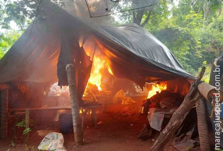 Polícia paraguaia destrói 21 toneladas de maconha em fazendas da fronteira
