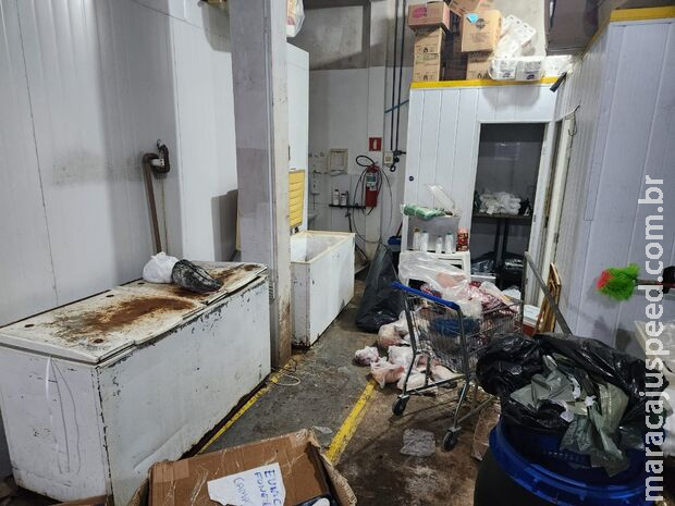 Reincidente, comerciante é preso ao vender carne de abatedouro clandestino em Camapuã Reincidente, comerciante é preso ao vender carne de abatedouro clandestino em Camapuã