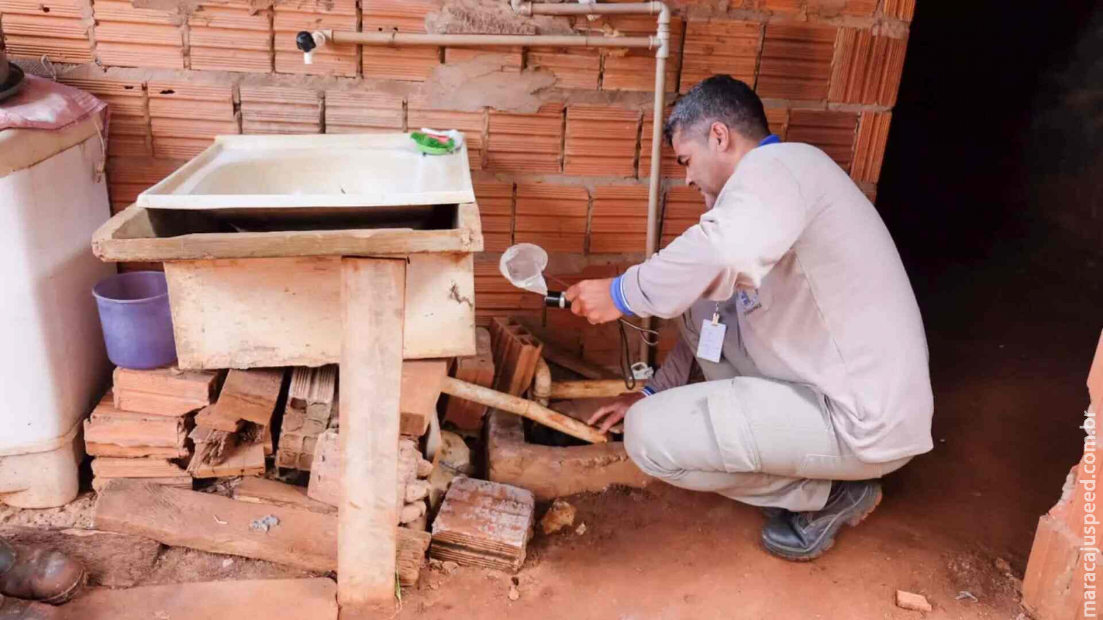 Risco de volta da dengue tipo 3 acende alerta e pode gerar nova epidemia em Campo Grande
