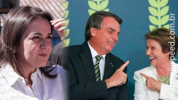 Tereza Cristina entra em cena e negocia apoio de Bolsonaro para Adriane Lopes Tereza Cristina entra em cena e negocia apoio de Bolsonaro para Adriane Lopes