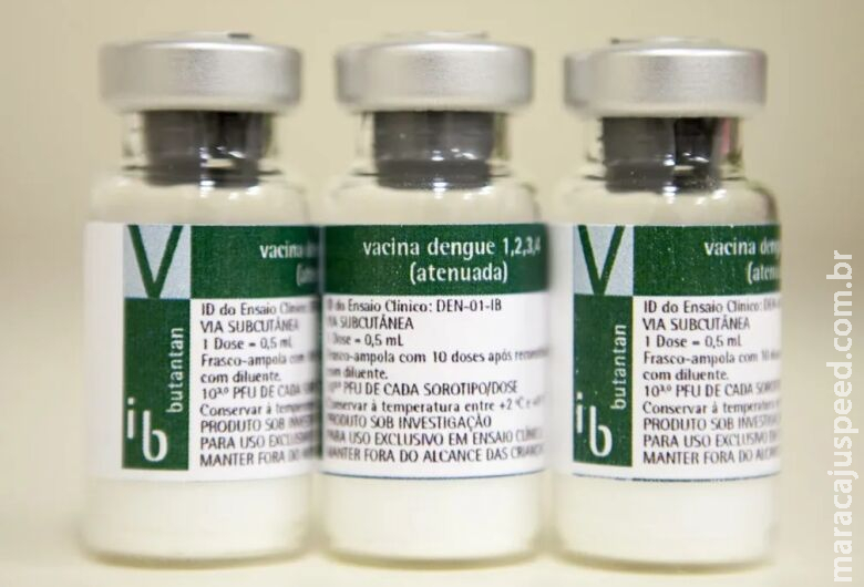 Vacina do Butantan contra dengue tem eficácia de 79,6%, mostra estudo
