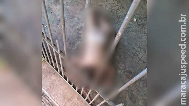 Bebê suja de fezes é filmada dormindo no chão em situação de abandono na Vila Popular
