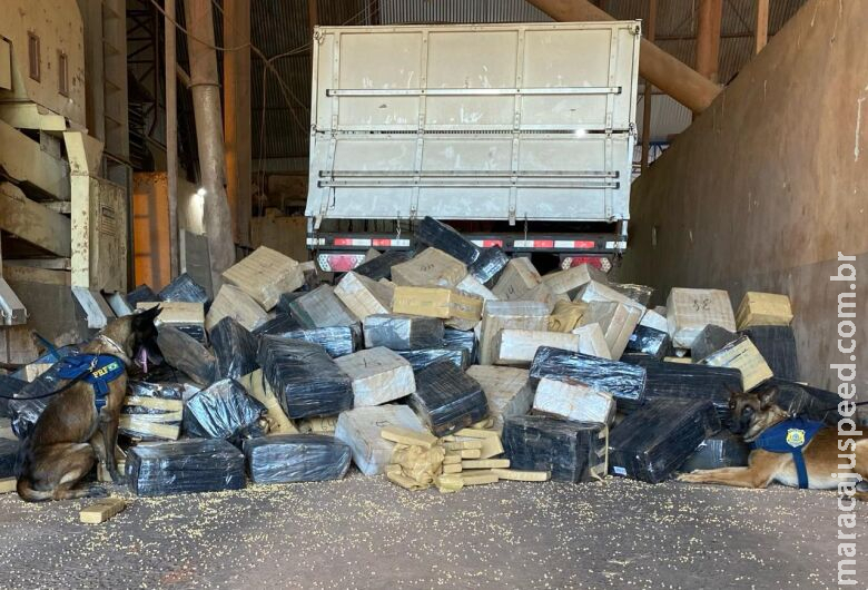 Caminhoneiro é preso no Paraná com quase 6t de maconha que saiu de MS Caminhoneiro é preso no Paraná com quase 6t de maconha que saiu de MS
