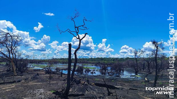 Com início do outono, estiagem ganha força e coloca Pantanal em alerta para incêndios florestais