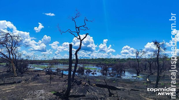 Com início do outono, estiagem ganha força e coloca Pantanal em alerta para incêndios florestais