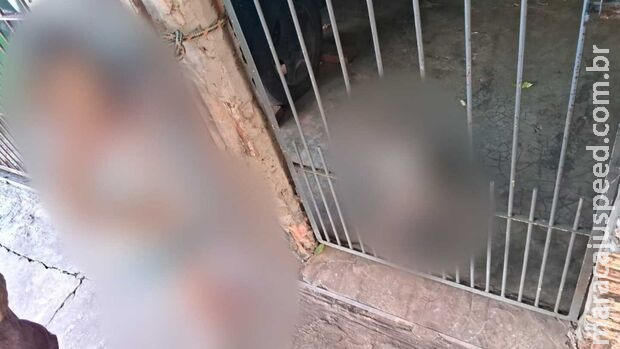 Conselho Tutelar levou 5 crianças de casa onde bebê foi encontrada suja dormindo no chão