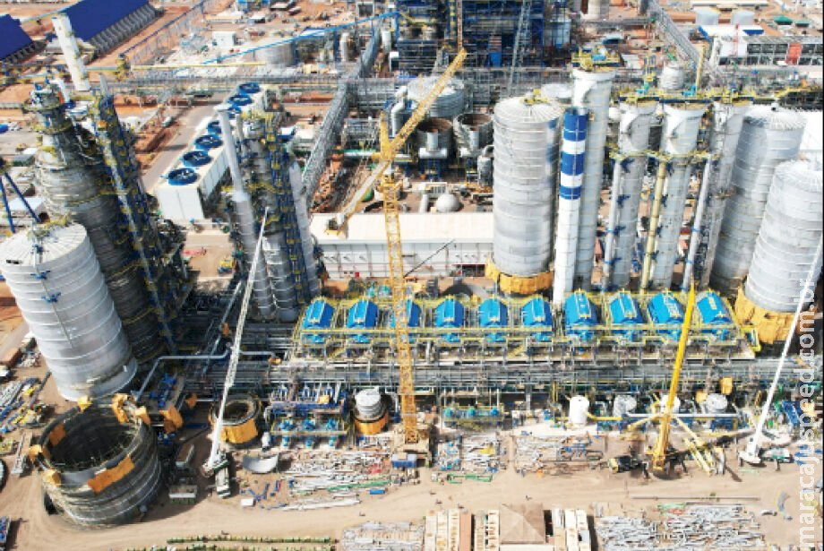Estado tem espaço para mais três processadoras de celulose