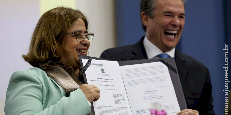 Governo lança plano de prevenção e combate à violência contra a mulher Governo lança plano de prevenção e combate à violência contra a mulher