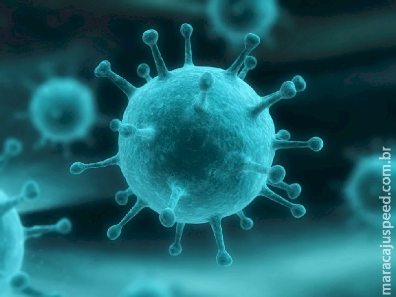 Homem de 64 anos é a primeira vítima fatal da Influenza em 2024 em MS Homem de 64 anos é a primeira vítima fatal da Influenza em 2024 em MS
