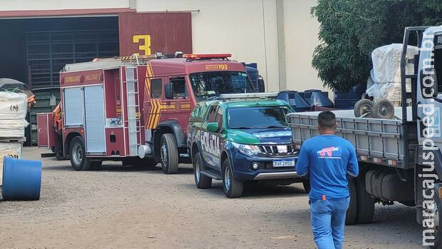 Jaguatirica assusta moradora e foge para galpão de empresa no Tiradentes