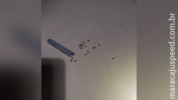 Jovens mortos a tiros foram baleados tentando defender adolescente no Centro Oeste Jovens mortos a tiros foram baleados tentando defender adolescente no Centro Oeste