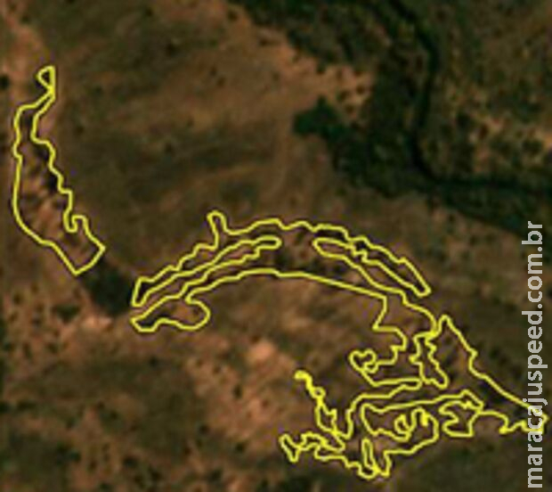 MPE apura desmatamento de 120 hectares sem licenças em fazenda de Corumbá MPE apura desmatamento de 120 hectares sem licenças em fazenda de Corumbá