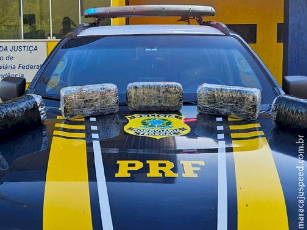 Mulher é presa ao transportar 5 kg de skunk junto ao filho de um ano em MS Mulher é presa ao transportar 5 kg de skunk junto ao filho de um ano em MS