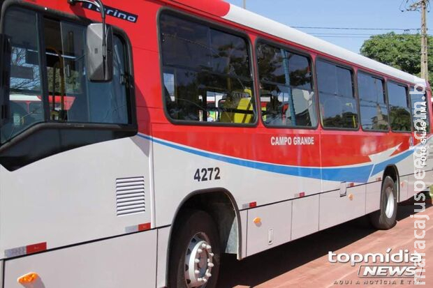 Ônibus coletivo é apedrejado e passageira fica ferida no Jardim Carioca