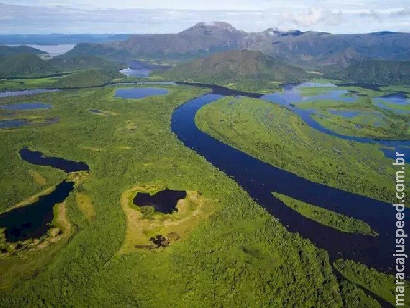 Pantanal entra na pauta do STF em cobrança de plano governamental de preservação Pantanal entra na pauta do STF em cobrança de plano governamental de preservação