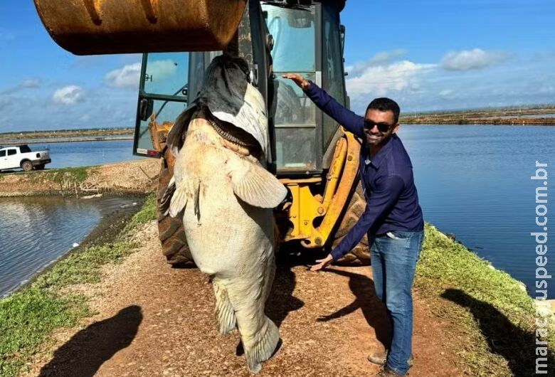 Peixe gigante é encontrado em fazenda de camarões no Nordeste