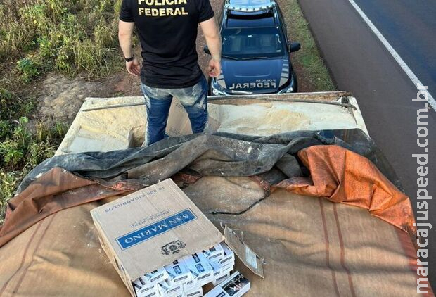 Polícia apreende 800 caixas de cigarros contrabandeados em carga de farelo em Naviraí Polícia apreende 800 caixas de cigarros contrabandeados em carga de farelo em Naviraí