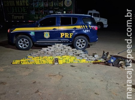 PRF apreende 124 Kg de cocaína em Jaraguari PRF apreende 124 Kg de cocaína em Jaraguari