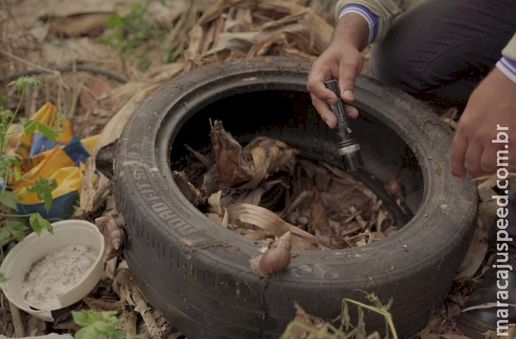 Boletim Epidemiológico: Mato Grosso do Sul registra 5.754 casos confirmados de dengue