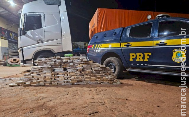 Cães farejadores encontram 126 kg de cocaína em estepes de carreta