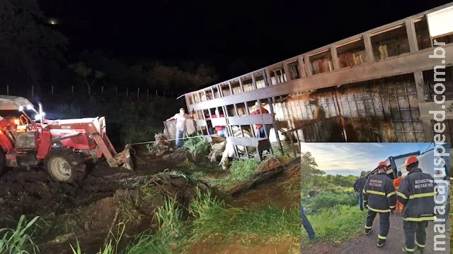 Caminhão tomba com gado e mata 8 animais em Aquidauana Caminhão tomba com gado e mata 8 animais em Aquidauana