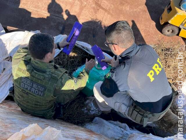Carga de maconha misturada com alfafa e preparada em MS é apreendida no PR Carga de maconha misturada com alfafa e preparada em MS é apreendida no PR