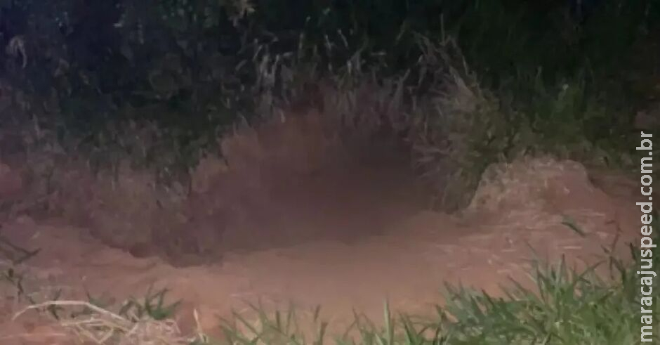 Corpo carbonizado é encontrado em área rural de São Gabriel do Oeste