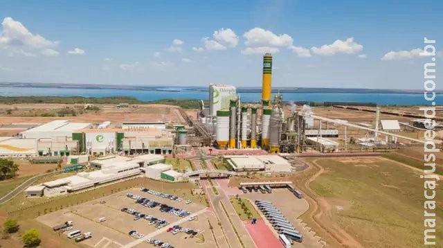 Eldorado anuncia 2ª fábrica em Três Lagoas, para gerar 10 mil empregos