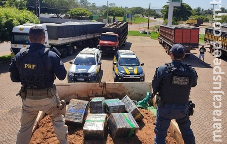 Em maior apreensão do ano, PRF e PM apreendem 12 toneladas de maconha em Jardim (MS) Em maior apreensão do ano, PRF e PM apreendem 12 toneladas de maconha em Jardim (MS)