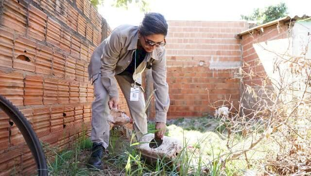 Em MS, interior e fronteira podem ver taxa da incidência de dengue crescer Em MS, interior e fronteira podem ver taxa da incidência de dengue crescer