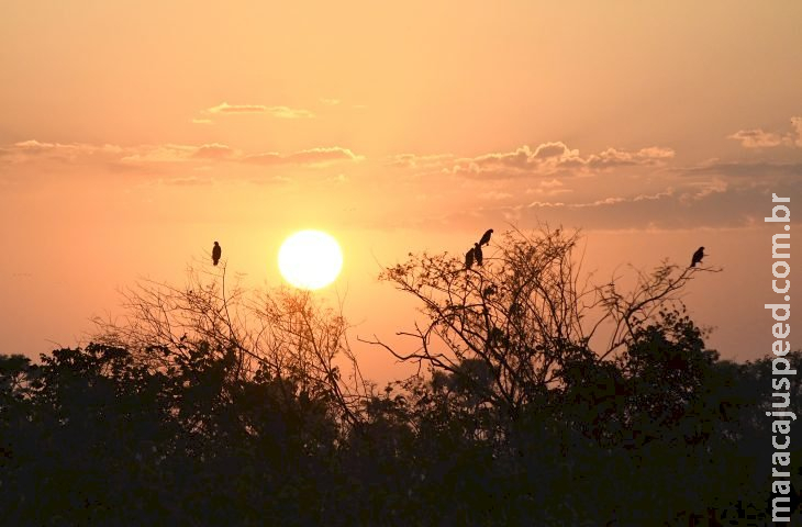 Em sábado de sol, ventos intensificam ar quente e seco em Mato Grosso do Sul 