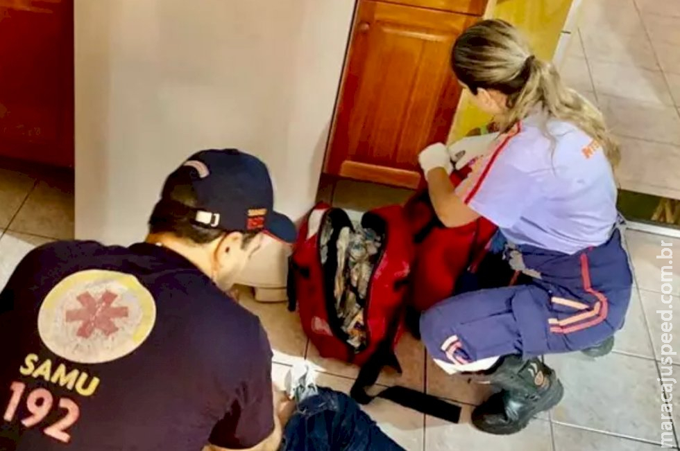Empresário tem casa invadida e é baleado por dois encapuzados em Três Lagoas Empresário tem casa invadida e é baleado por dois encapuzados em Três Lagoas