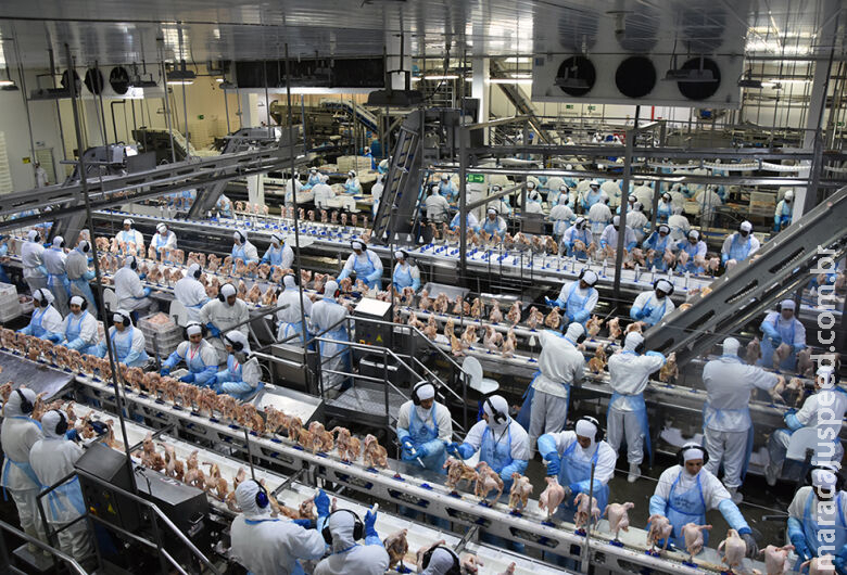 Exportação de industrializados de MS em março atingem US$ 434,7 milhões Exportação de industrializados de MS em março atingem US$ 434,7 milhões