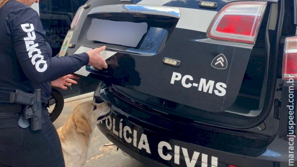 Foragido de SP, condenado por matar dois carbonizados é preso na Mata do Segredo Foragido de SP, condenado por matar dois carbonizados é preso na Mata do Segredo