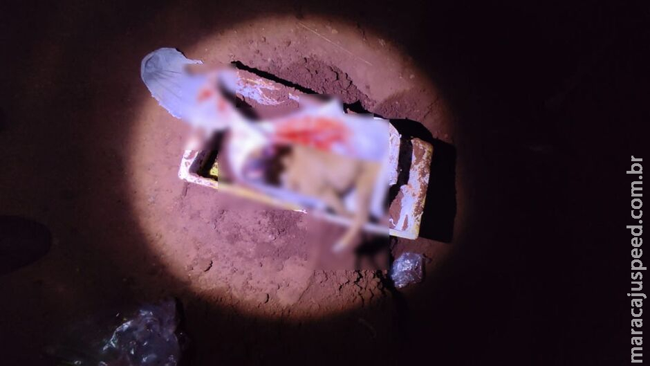 Homem mata cachorro da família a enxadadas e depois enterra no quintal em Chapadão do Sul