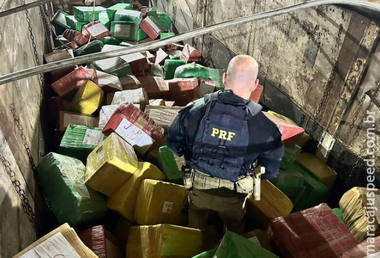 Maior apreensão do ano no Paraná, maconha saiu de MS e pesou mais de 6 toneladas Maior apreensão do ano no Paraná, maconha saiu de MS e pesou mais de 6 toneladas